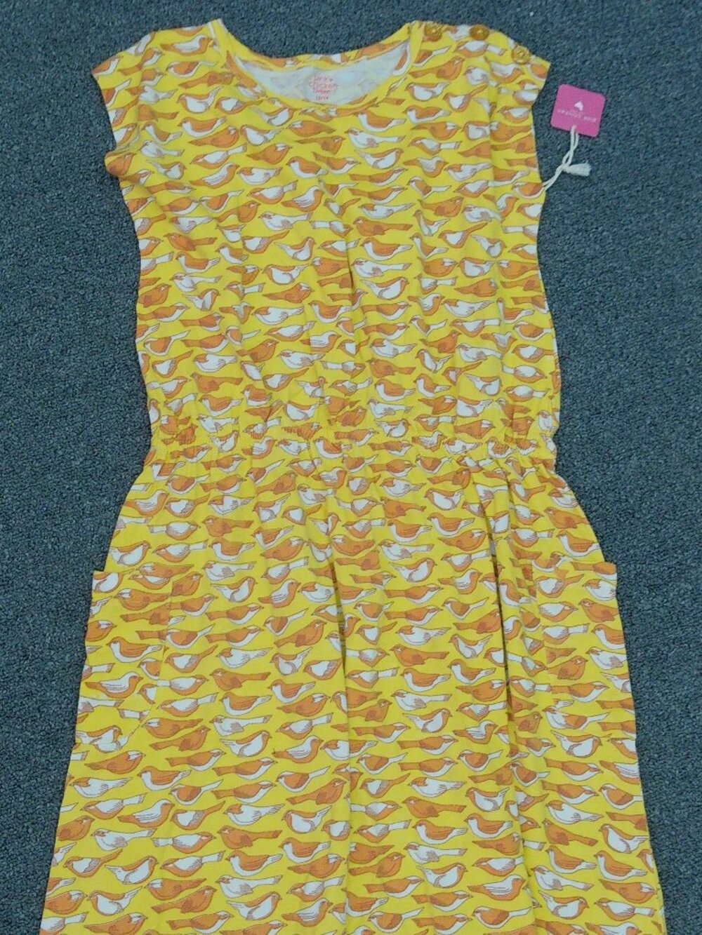 Pink Chicken Yellow Sparrows Dress NWT
